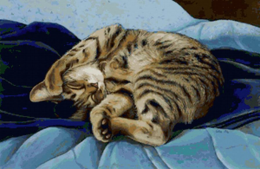 мой кот - предпросмотр