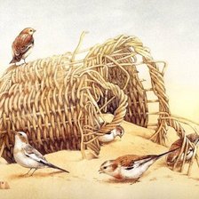 Схема вышивки «Птички с корзинкой»