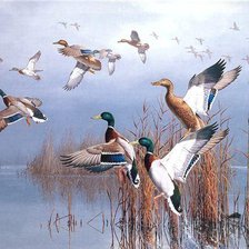 Схема вышивки «Утки»