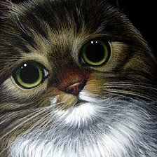 Схема вышивки «милый котик»