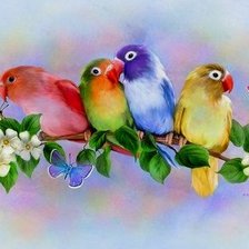 Схема вышивки «попугаи на ветке»