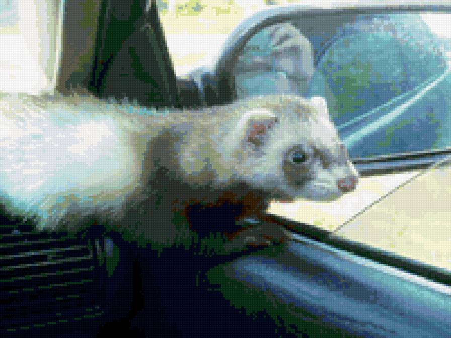 Маруся - предпросмотр