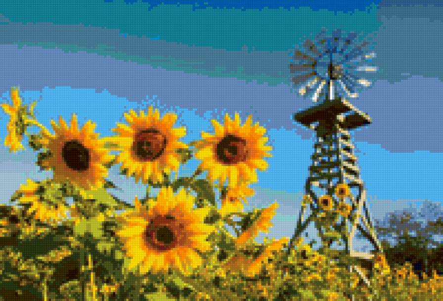 Подсолнухи - предпросмотр