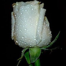 Схема вышивки «капельки росы»