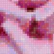 Предпросмотр схемы вышивки «Розовая роза» (№129208)