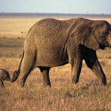 Схема вышивки «Большая прогулка»