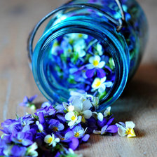 Схема вышивки «Баночка с цветами»