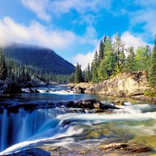 Схема вышивки «природа»