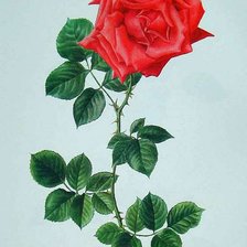 Схема вышивки «№129356»