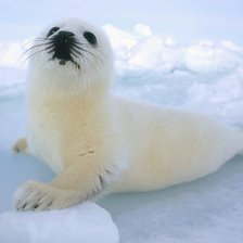 Схема вышивки «Малыш»