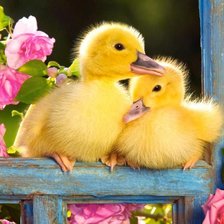 Схема вышивки «гусята»