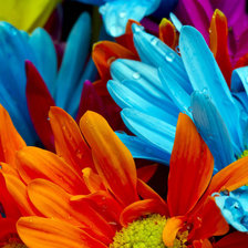 Схема вышивки «Цветы»