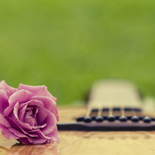 Схема вышивки «Роза на гитаре»