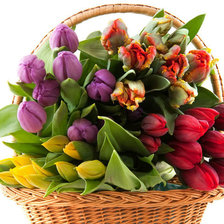 Схема вышивки «lalele»