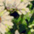 Предпросмотр схемы вышивки «Букет» (№129478)