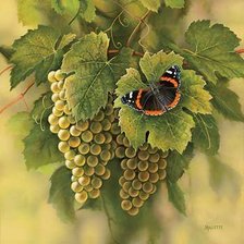 Схема вышивки «№129691»