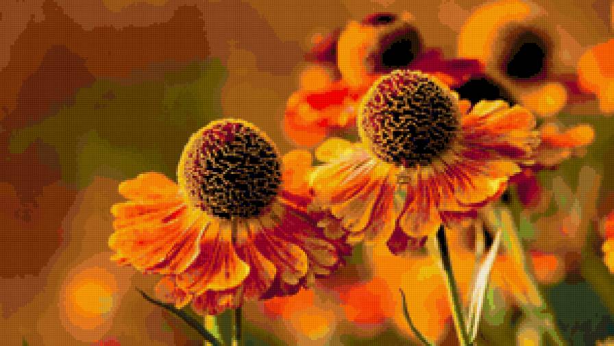 Серия "Цветы" - цветы, цветок - предпросмотр