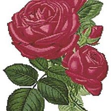 Схема вышивки «№129782»