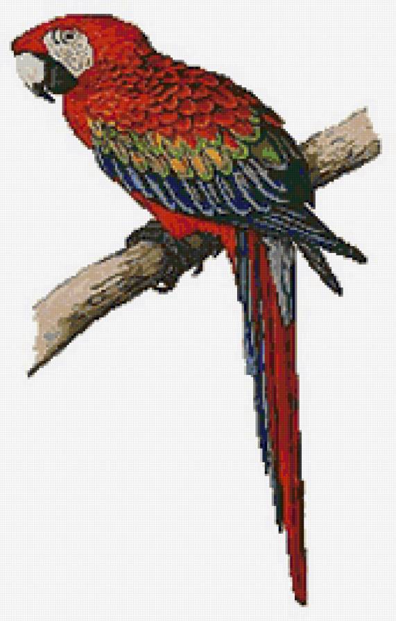 №129793 - птицы, животные, пейзаж - предпросмотр