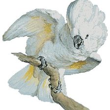 Схема вышивки «№129804»