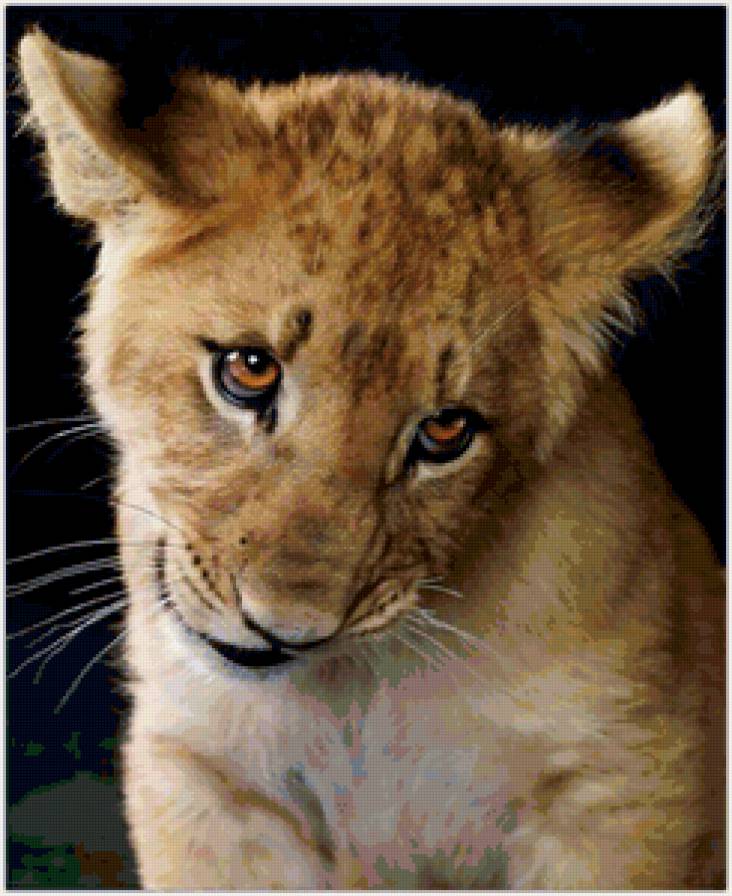 Милый львёнок - животные, тигры - предпросмотр