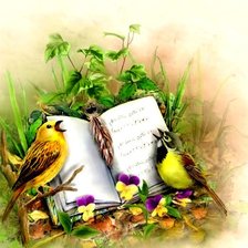 Схема вышивки «птички-певуньи»