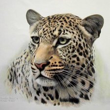 Схема вышивки «леопард»