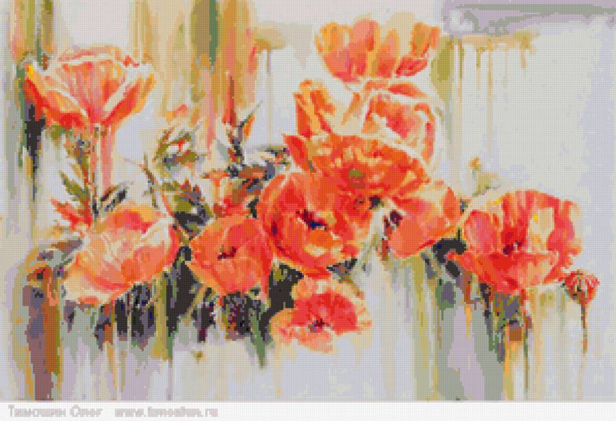 Маки - мак, цветы, маки, поле - предпросмотр