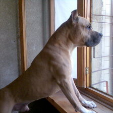 Схема вышивки «Николас»