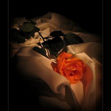 Схема вышивки «роза»