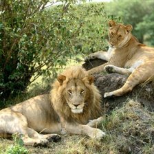 Схема вышивки «№130265»