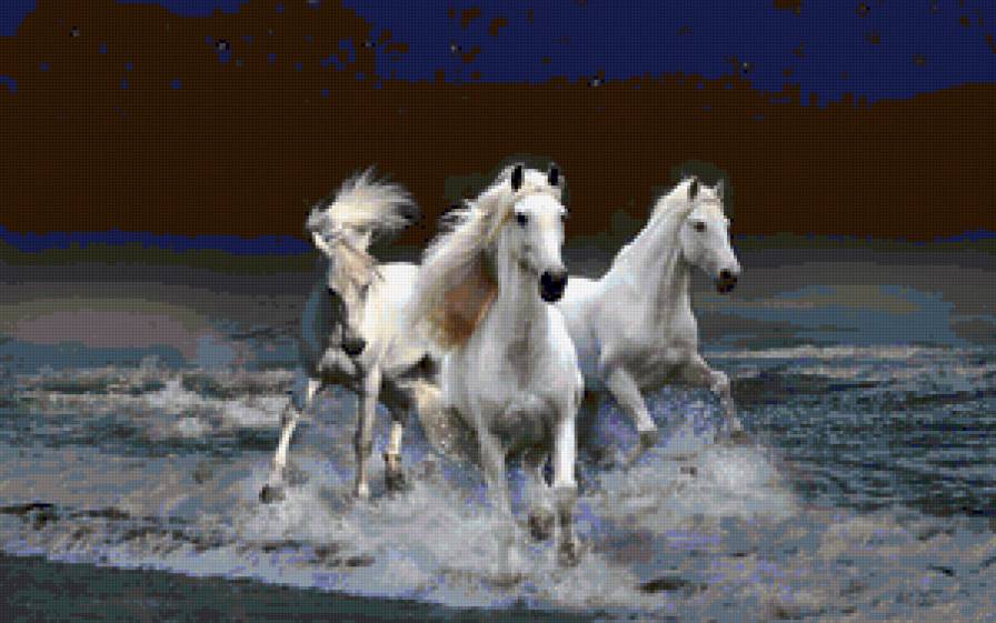 horses - предпросмотр