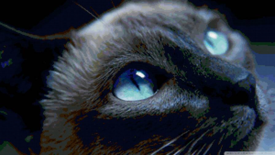 blue eyes - предпросмотр