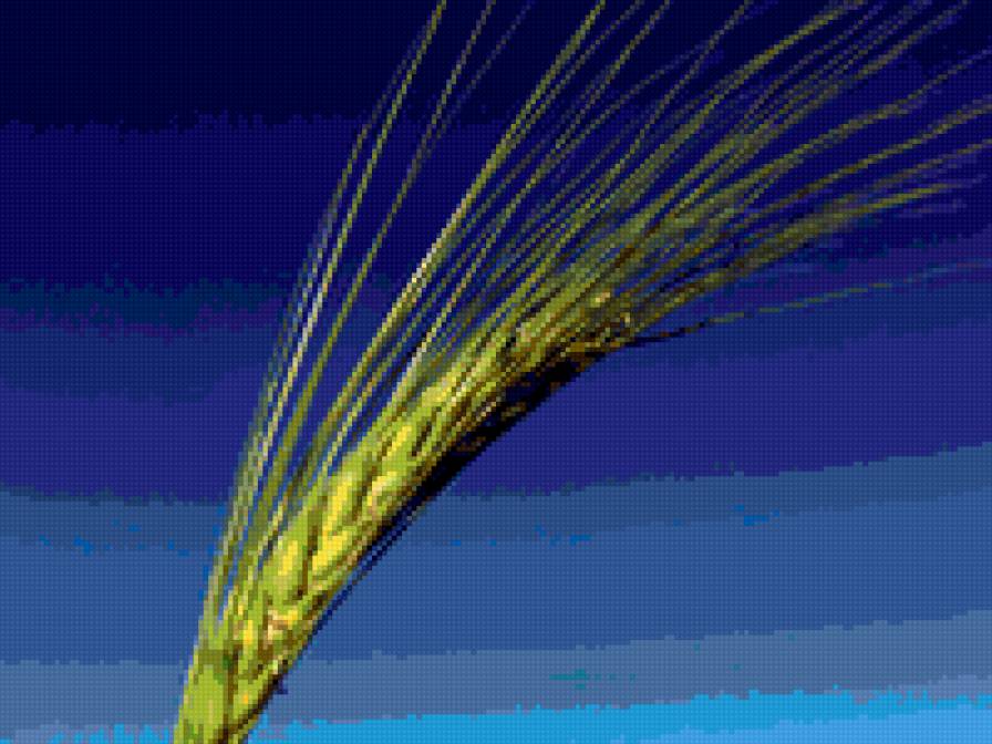 plants - landscape - предпросмотр