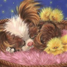 Сладкий сон