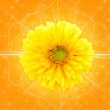 Схема вышивки «flowers»