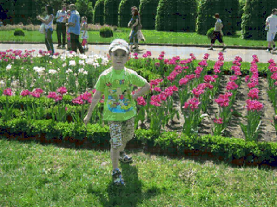 мой Тимошик - предпросмотр