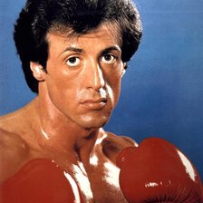 Схема вышивки «Рокки»