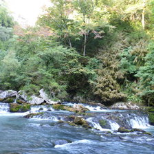 Схема вышивки «Природа»