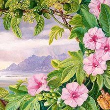 Схема вышивки «№130623»