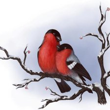 Сладкая парочка