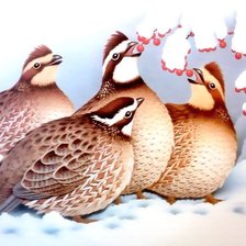 Схема вышивки «№130855»