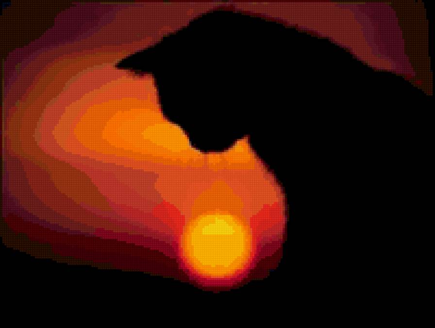 Закат - природа, животные, кот - предпросмотр