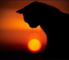 Схема вышивки «Закат»