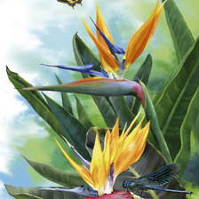 Схема вышивки «цветы»