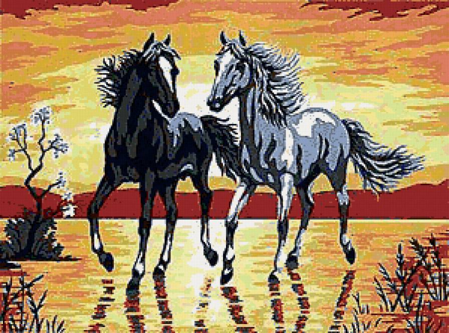 Прогулка - пара, лошади - предпросмотр