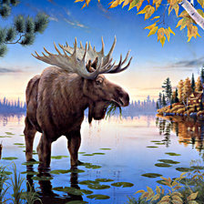 Схема вышивки «лось красавец»