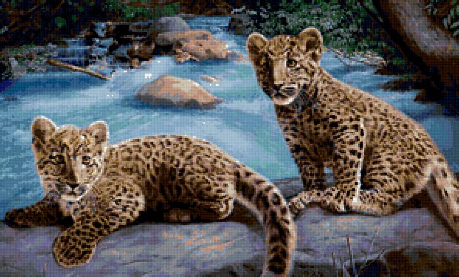 маленькие гепарды - гепард, река - предпросмотр
