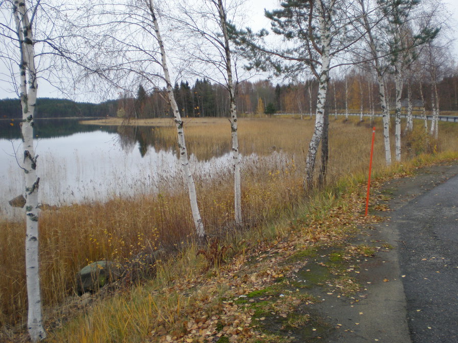 Суоми - природа - оригинал