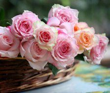 Схема вышивки «Корзинка роз»